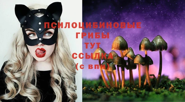 первитин Медвежьегорск