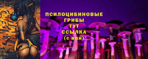 прущие крисы Мегион